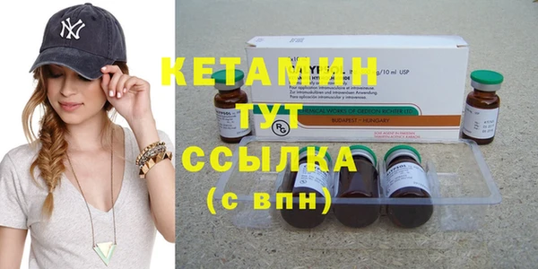 стаф Аркадак